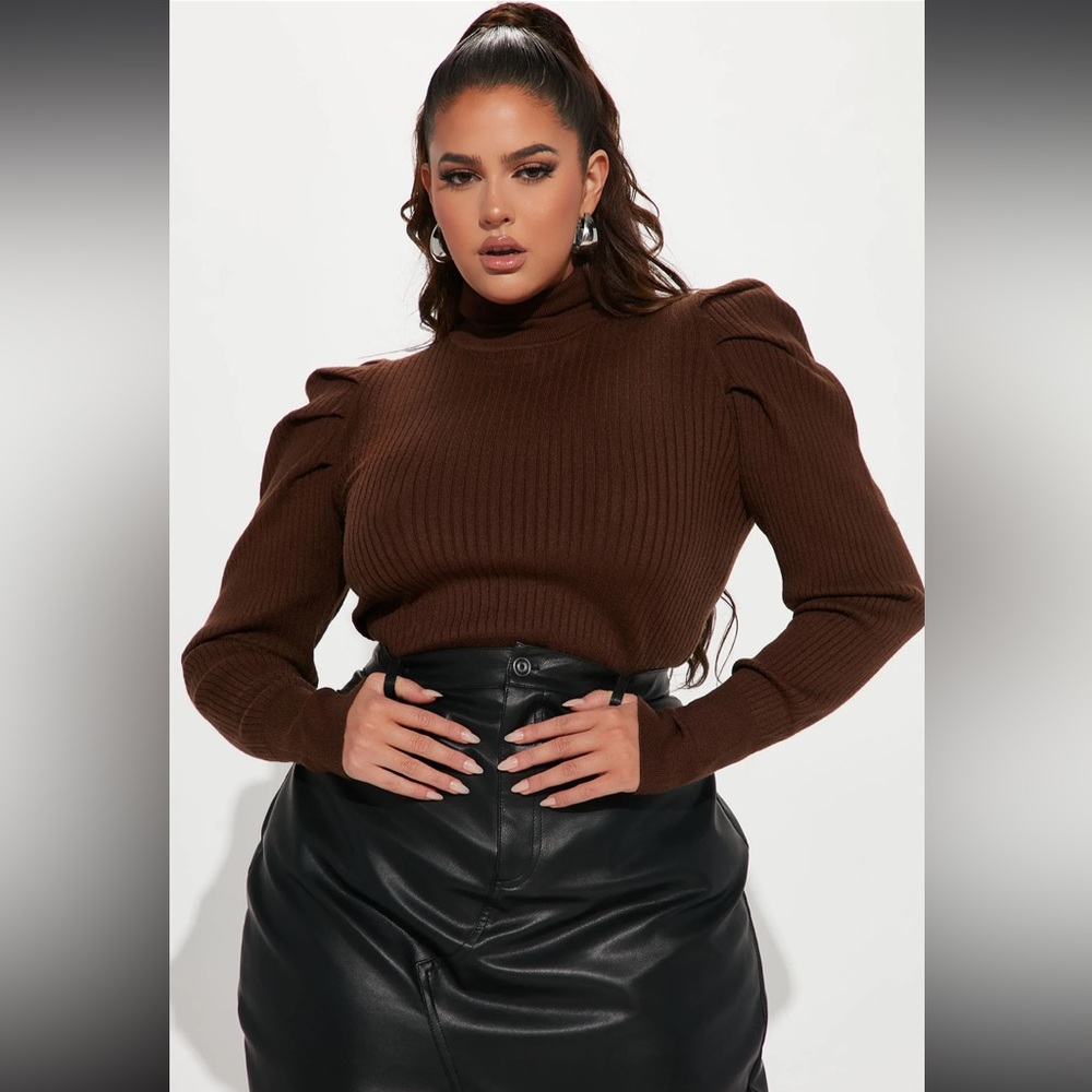 Fashion Nova Curve Brown Turtleneck Sweater🍂